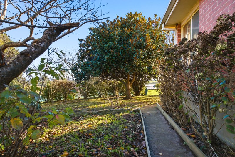 Photo - 312 Wrights Lane, Northdown TAS 7307 - Image 16