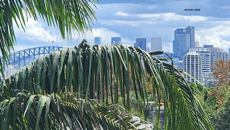 Photo - 31/237 Underwood Street, Paddington NSW 2021 - Image 5