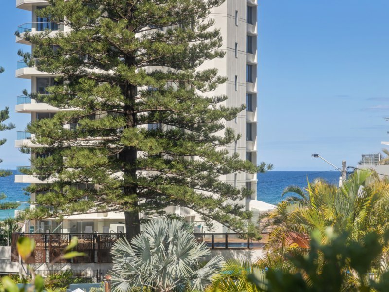 Photo - 31/24 Hamilton Avenue, Surfers Paradise QLD 4217 - Image 3