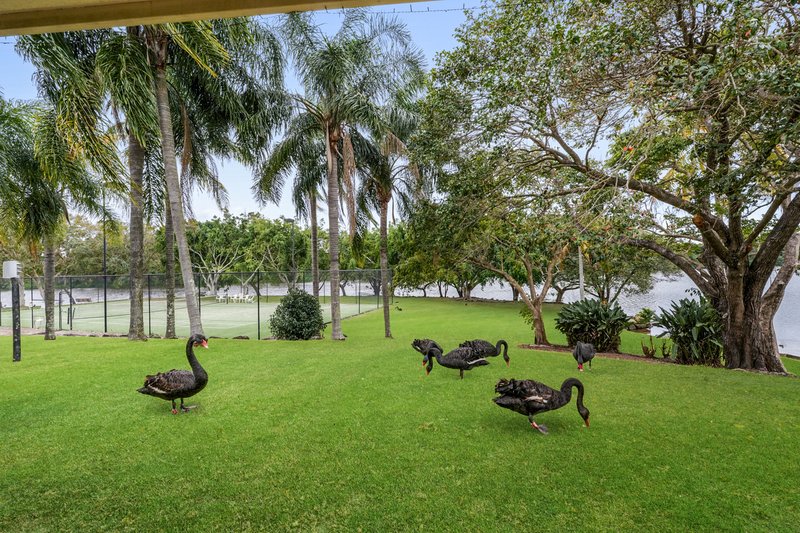 Photo - 31/24 Ron Penhaligon Way, Robina QLD 4226 - Image 18