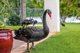 Photo - 31/24 Ron Penhaligon Way, Robina QLD 4226 - Image 20