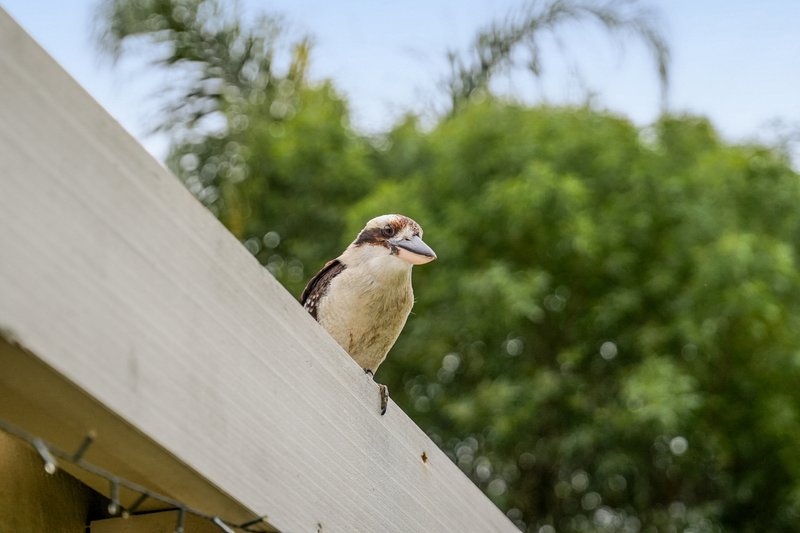 Photo - 31/24 Ron Penhaligon Way, Robina QLD 4226 - Image 24