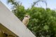 Photo - 31/24 Ron Penhaligon Way, Robina QLD 4226 - Image 24