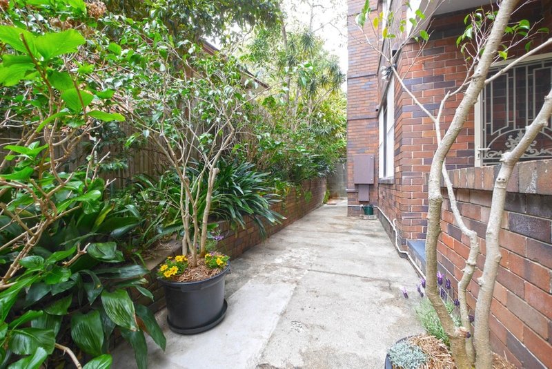 Photo - 3/129 Victoria Road, Bellevue Hill NSW 2023 - Image 10