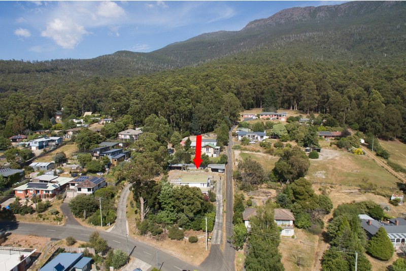 Photo - 313 Strickland Avenue, South Hobart TAS 7004 - Image 3