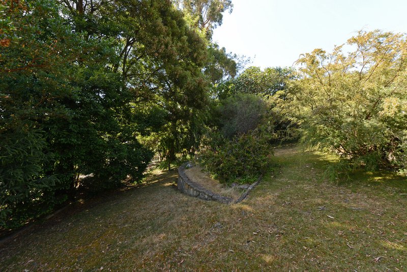 Photo - 313 Strickland Avenue, South Hobart TAS 7004 - Image 6