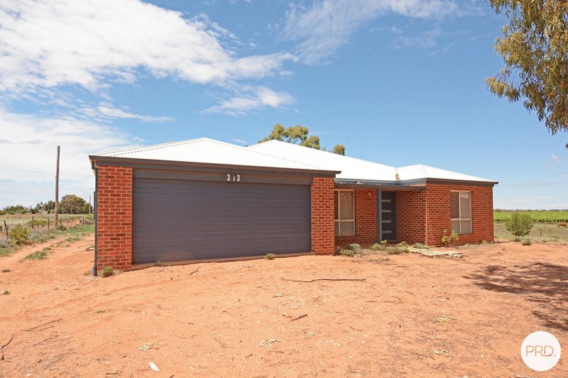 313 White Cliff Avenue, Mildura VIC 3500