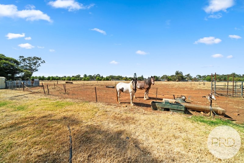 Photo - 3135 Canola Way, Coolamon NSW 2701 - Image 7