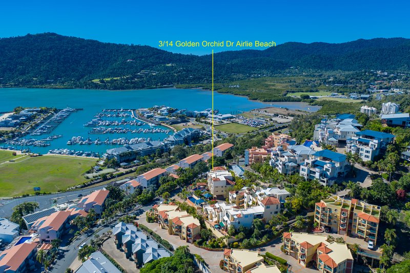 Photo - 3/14 Golden Orchid Drive, Airlie Beach QLD 4802 - Image 18