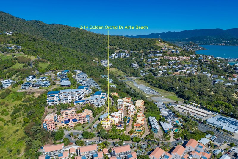 Photo - 3/14 Golden Orchid Drive, Airlie Beach QLD 4802 - Image 21