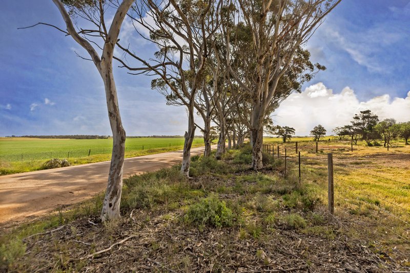 Photo - 314 Hatcher Road, Ward Belt SA 5118 - Image 11