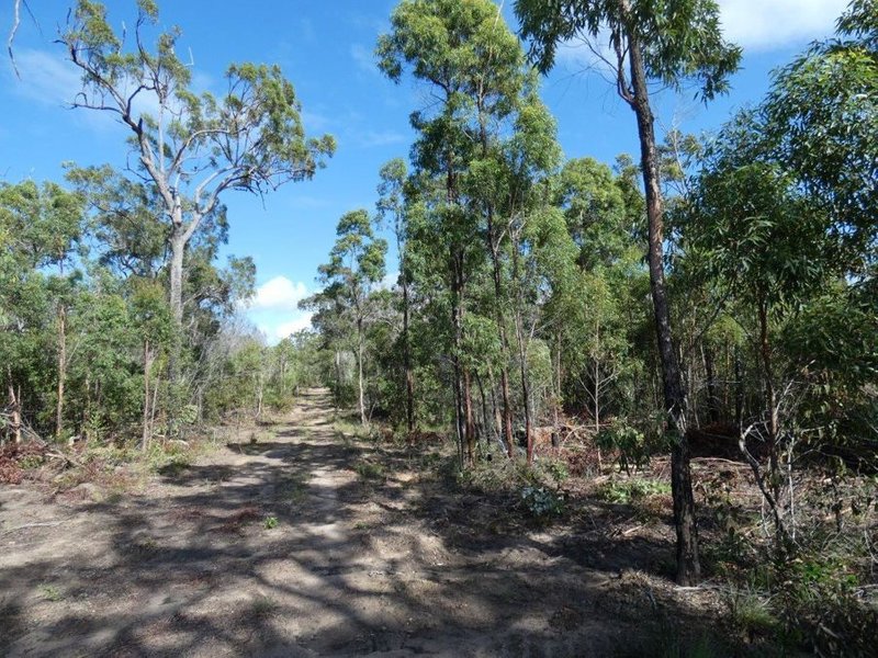 Photo - 315 Deepwater Road, Deepwater QLD 4674 - Image 1