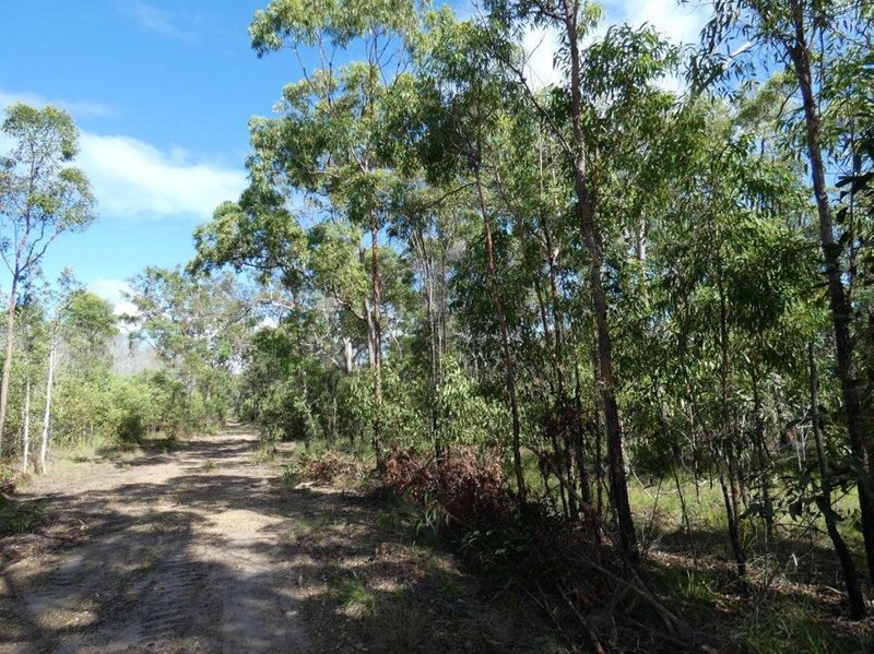 Photo - 315 Deepwater Road, Deepwater QLD 4674 - Image 2