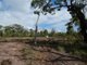 Photo - 315 Deepwater Road, Deepwater QLD 4674 - Image 6