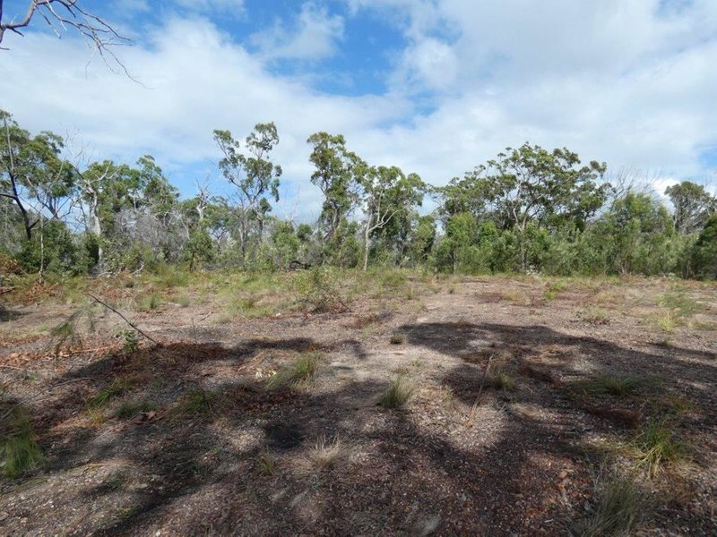 Photo - 315 Deepwater Road, Deepwater QLD 4674 - Image 7