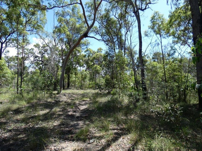 Photo - 315 Deepwater Road, Deepwater QLD 4674 - Image 12