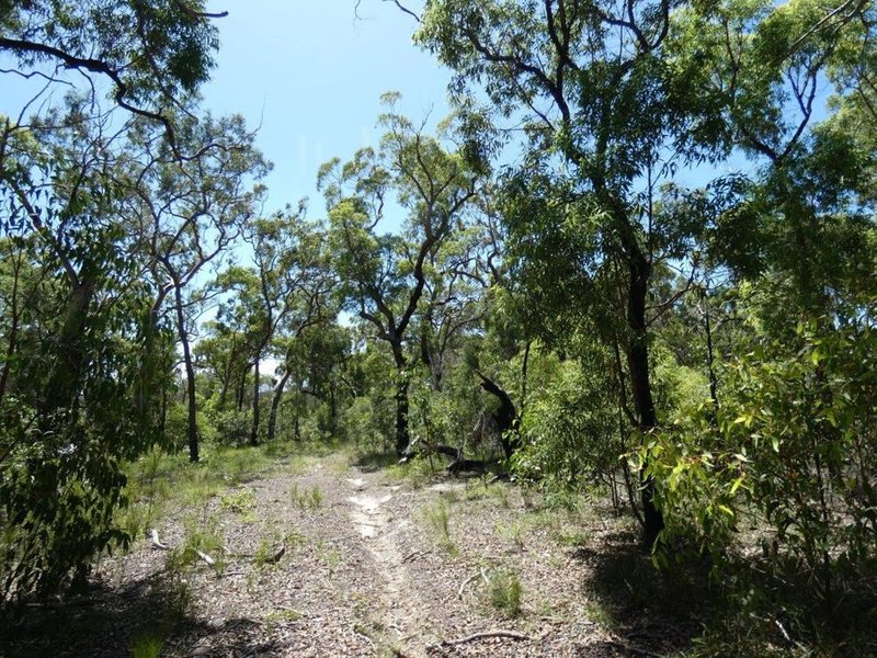 Photo - 315 Deepwater Road, Deepwater QLD 4674 - Image 14