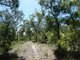 Photo - 315 Deepwater Road, Deepwater QLD 4674 - Image 14