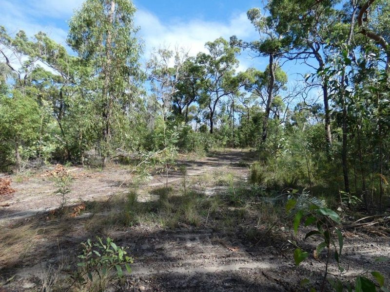 Photo - 315 Deepwater Road, Deepwater QLD 4674 - Image 21