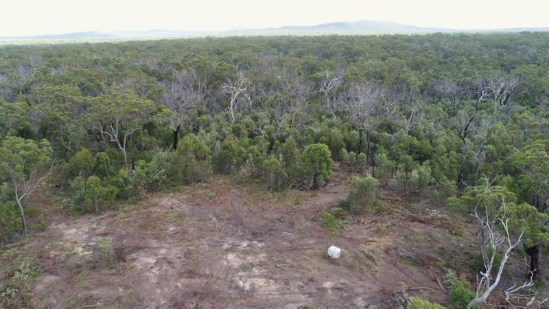 Photo - 315 Deepwater Road, Deepwater QLD 4674 - Image 22