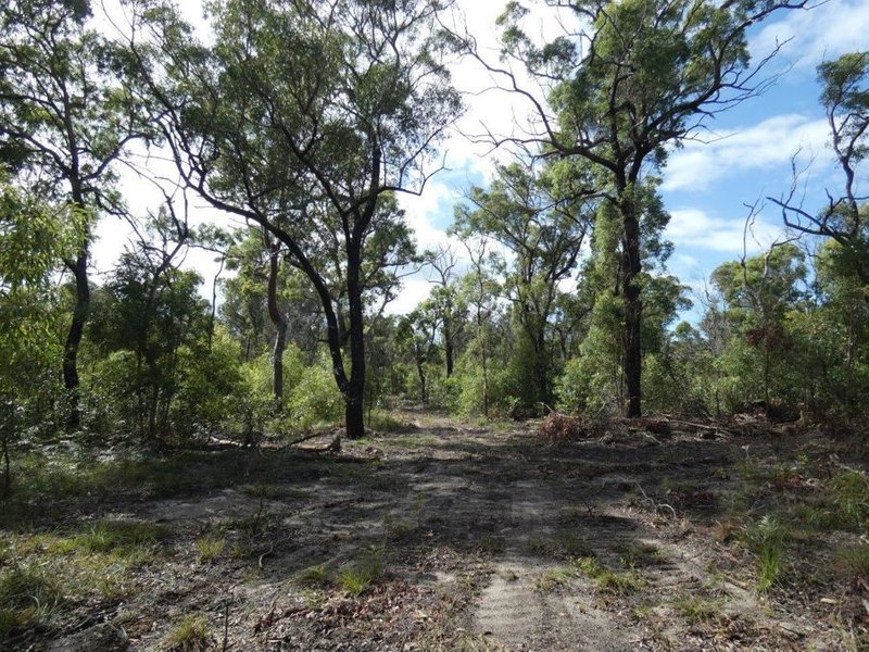 Photo - 315 Deepwater Road, Deepwater QLD 4674 - Image 24