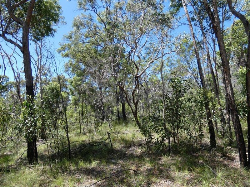 Photo - 315 Deepwater Road, Deepwater QLD 4674 - Image 25