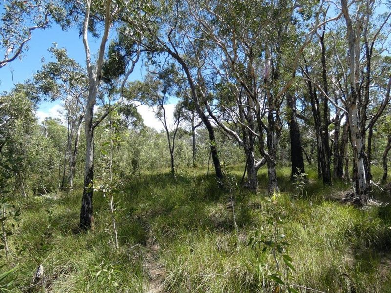 Photo - 315 Deepwater Road, Deepwater QLD 4674 - Image 26