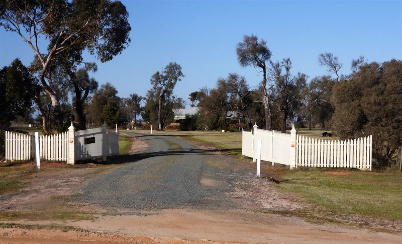 Photo - 315 Ham Road, Moama NSW 2731 - Image 7