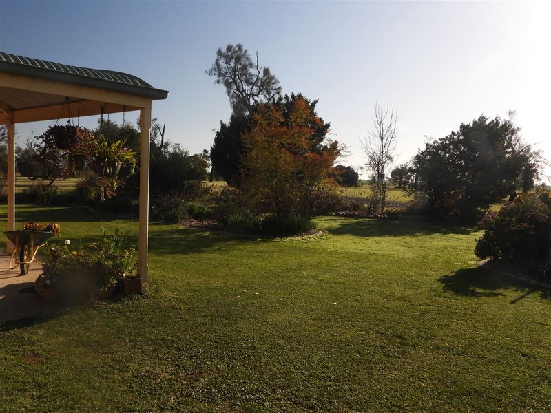 Photo - 315 Ham Road, Moama NSW 2731 - Image 9