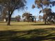 Photo - 315 Ham Road, Moama NSW 2731 - Image 15