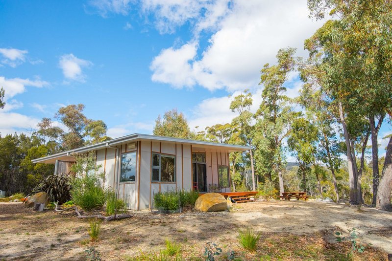 Photo - 315 Medeas Cove Road, St Helens TAS 7216 - Image 3