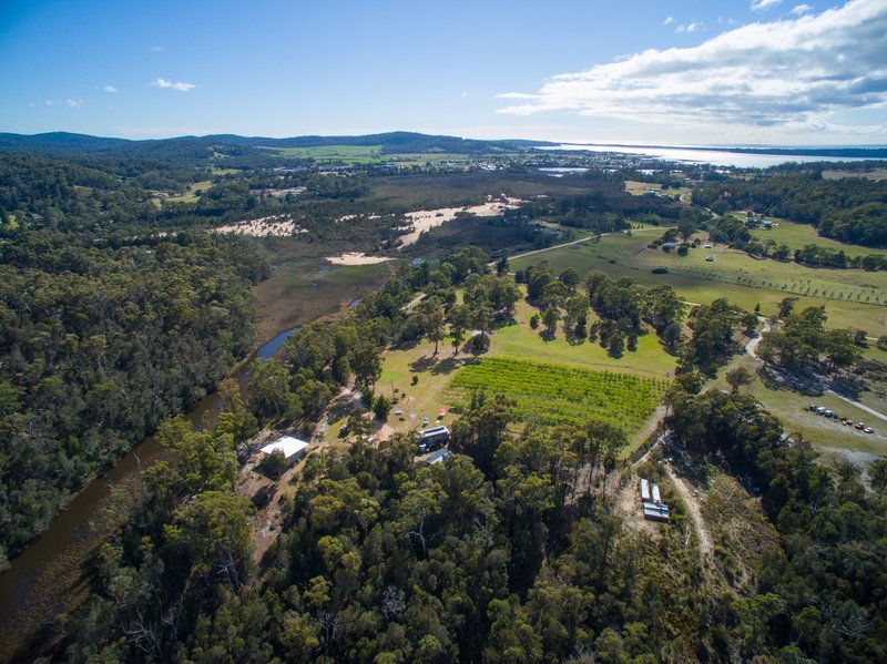 Photo - 315 Medeas Cove Road, St Helens TAS 7216 - Image 23