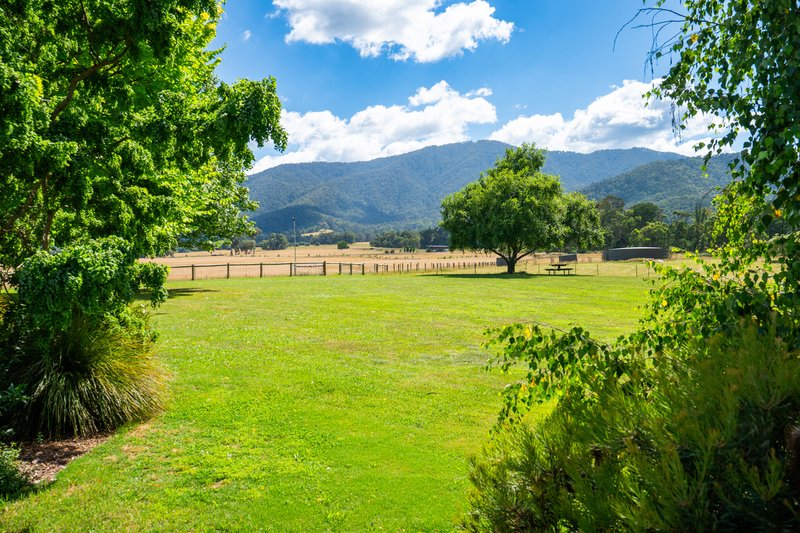 Photo - 315 Mountain Creek Road, Tawonga VIC 3697 - Image 10