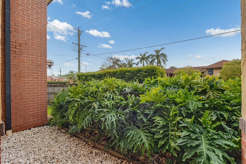 Photo - 3/151 Beatrice Terrace, Ascot QLD 4007 - Image 7