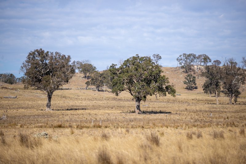 Photo - 3158 Baldersleigh Road, Guyra NSW 2365 - Image 8