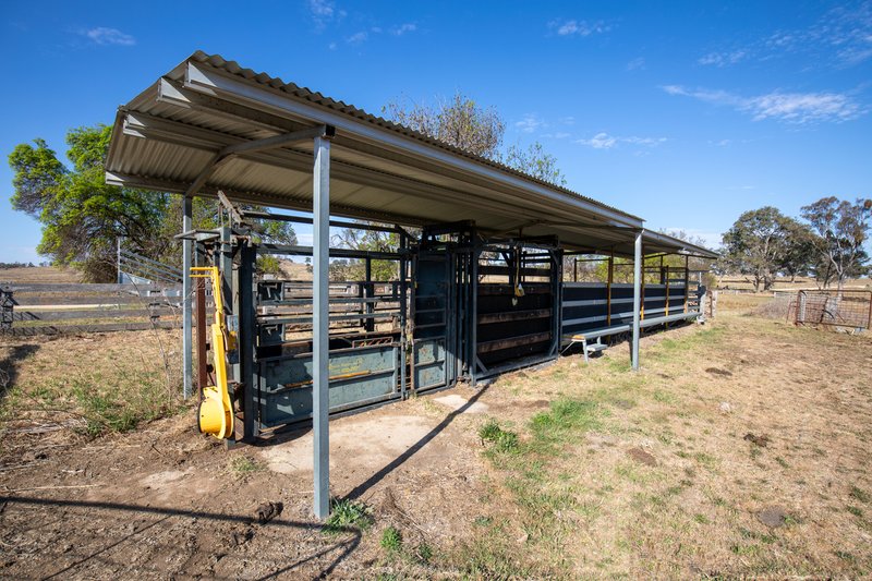 Photo - 3158 Baldersleigh Road, Guyra NSW 2365 - Image 9