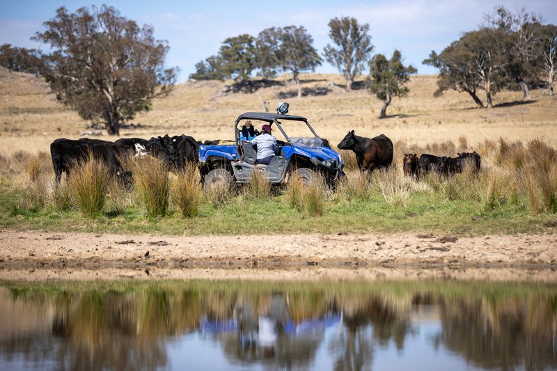 Photo - 3158 Baldersleigh Road, Guyra NSW 2365 - Image 10