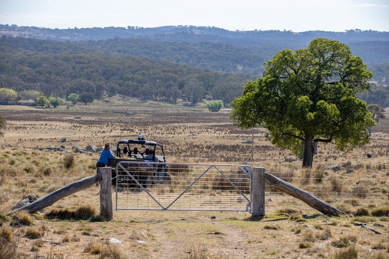 Photo - 3158 Baldersleigh Road, Guyra NSW 2365 - Image 14