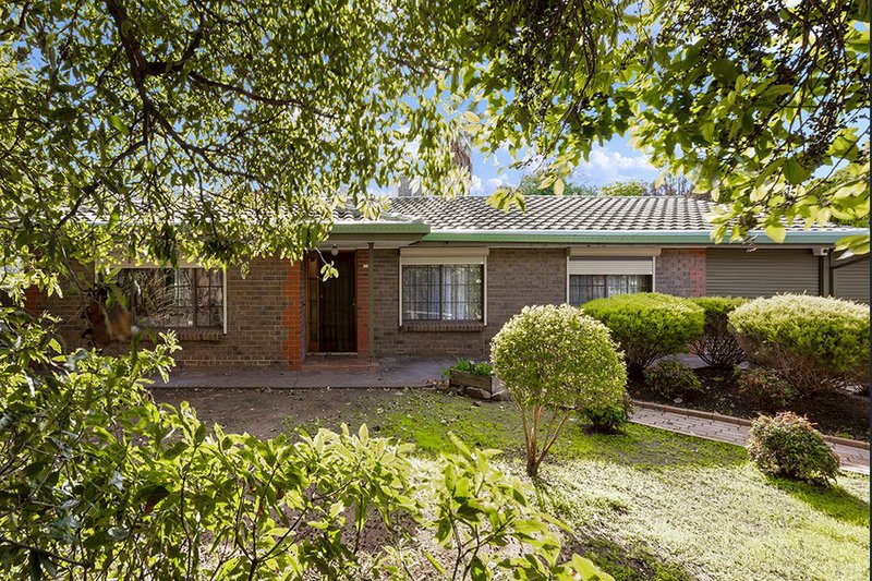 316 Milne Road, Modbury Heights SA 5092