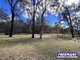Photo - 316 Wattle Camp Road, Wattle Camp QLD 4615 - Image 23