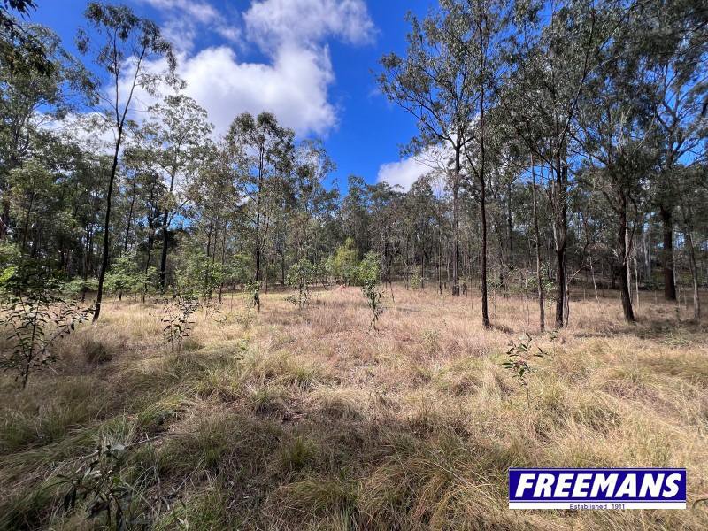 Photo - 316 Wattle Camp Road, Wattle Camp QLD 4615 - Image 24