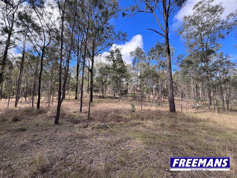 Photo - 316 Wattle Camp Road, Wattle Camp QLD 4615 - Image 25