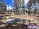 Photo - 316 Wattle Camp Road, Wattle Camp QLD 4615 - Image 26
