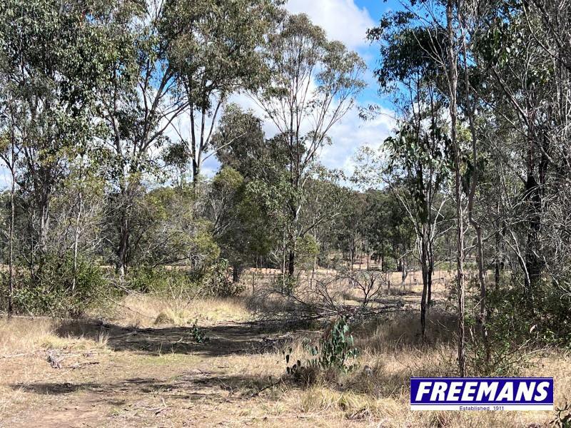 Photo - 316 Wattle Camp Road, Wattle Camp QLD 4615 - Image 27