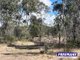 Photo - 316 Wattle Camp Road, Wattle Camp QLD 4615 - Image 27