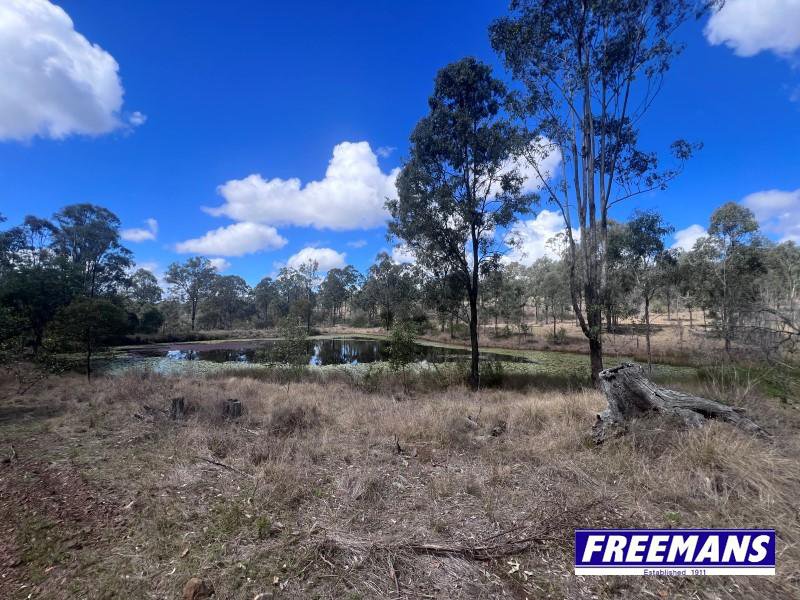 Photo - 316 Wattle Camp Road, Wattle Camp QLD 4615 - Image 28