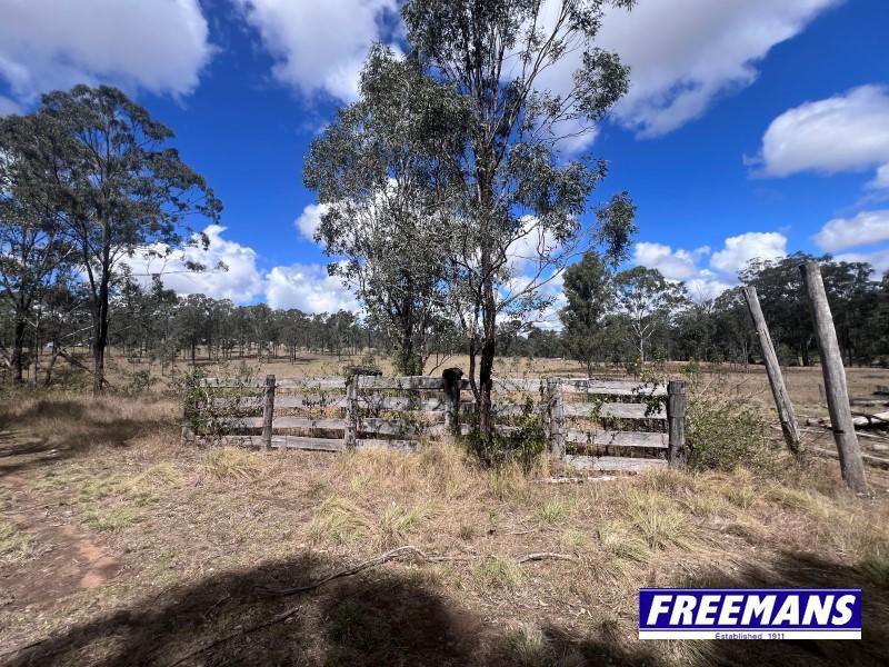 Photo - 316 Wattle Camp Road, Wattle Camp QLD 4615 - Image 29