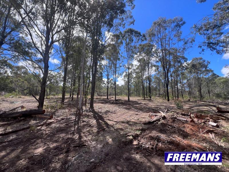Photo - 316 Wattle Camp Road, Wattle Camp QLD 4615 - Image 30