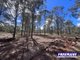 Photo - 316 Wattle Camp Road, Wattle Camp QLD 4615 - Image 30