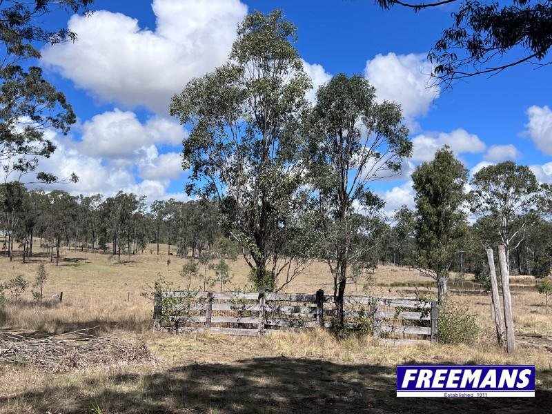 Photo - 316 Wattle Camp Road, Wattle Camp QLD 4615 - Image 31